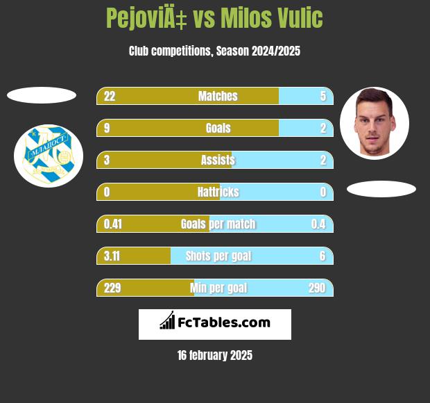 PejoviÄ‡ vs Milos Vulic h2h player stats