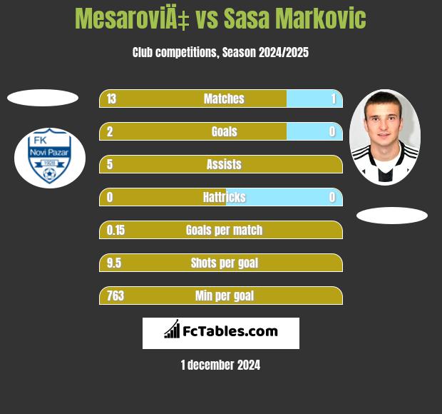 MesaroviÄ‡ vs Sasa Markovic h2h player stats