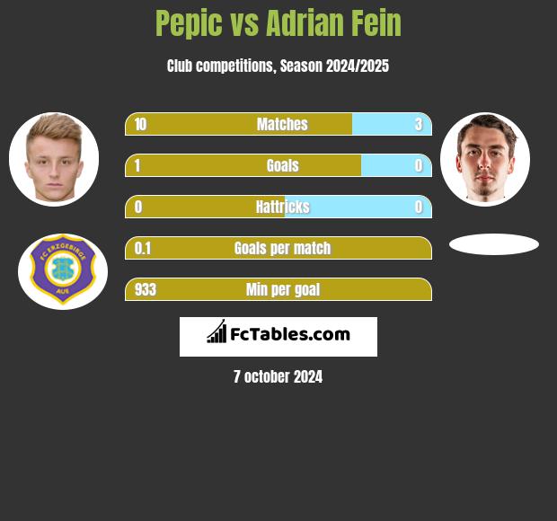 Pepic vs Adrian Fein h2h player stats