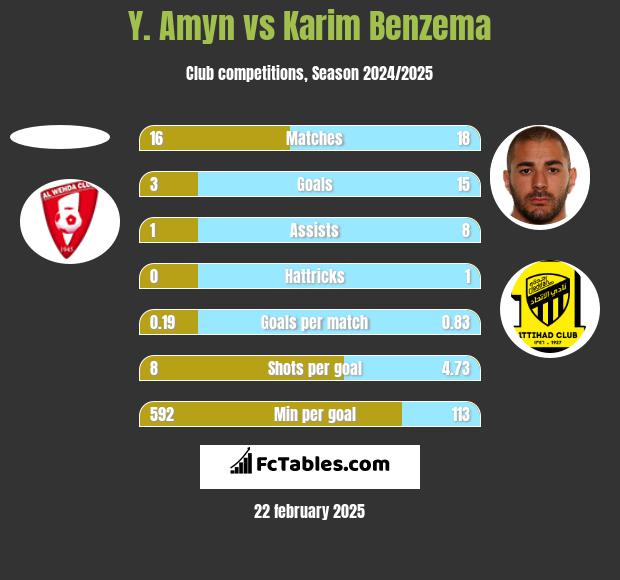 Y. Amyn vs Karim Benzema h2h player stats