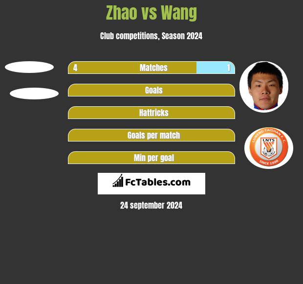 Zhao vs Wang h2h player stats