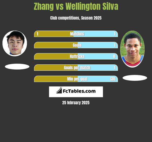 Zhang vs Wellington Silva h2h player stats