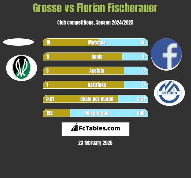 Grosse vs Florian Fischerauer h2h player stats