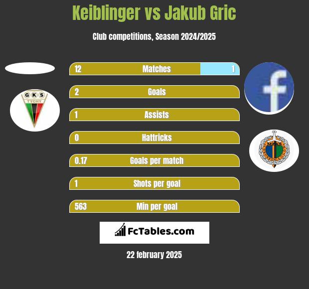 Keiblinger vs Jakub Gric h2h player stats