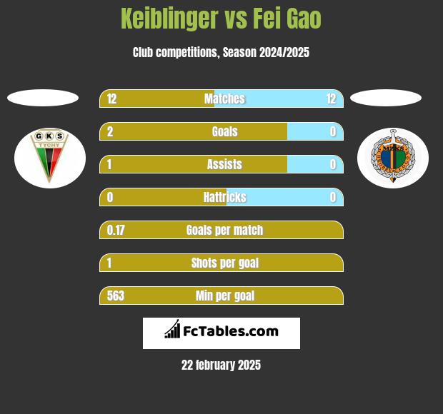 Keiblinger vs Fei Gao h2h player stats