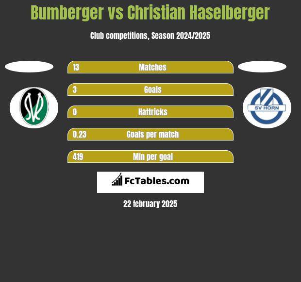 Bumberger vs Christian Haselberger h2h player stats