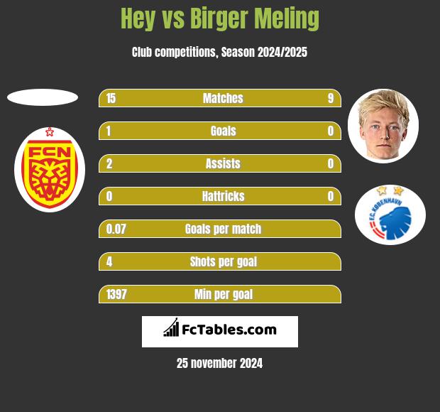 Hey vs Birger Meling h2h player stats