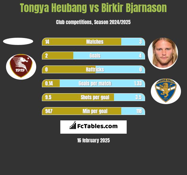 Tongya Heubang vs Birkir Bjarnason h2h player stats