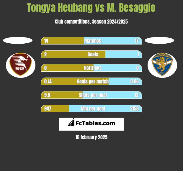 Tongya Heubang vs M. Besaggio h2h player stats