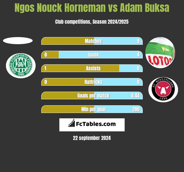 Ngos Nouck Horneman vs Adam Buksa h2h player stats