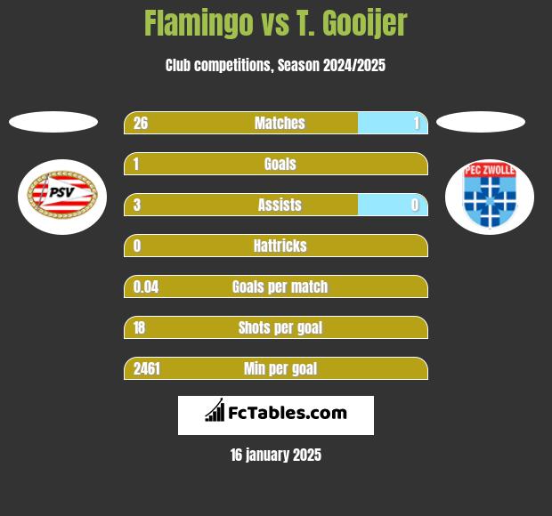 Flamingo vs T. Gooijer h2h player stats