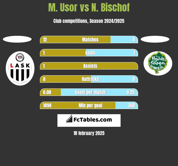 M. Usor vs N. Bischof h2h player stats