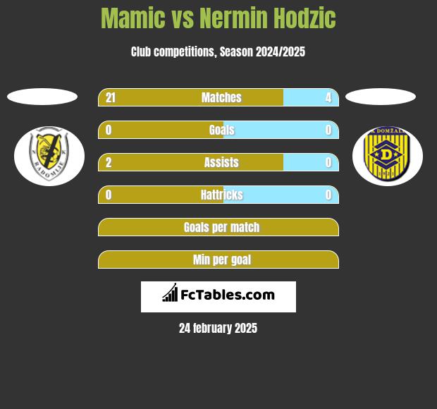 Mamic vs Nermin Hodzic h2h player stats