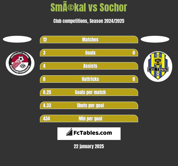 SmÃ©kal vs Sochor h2h player stats