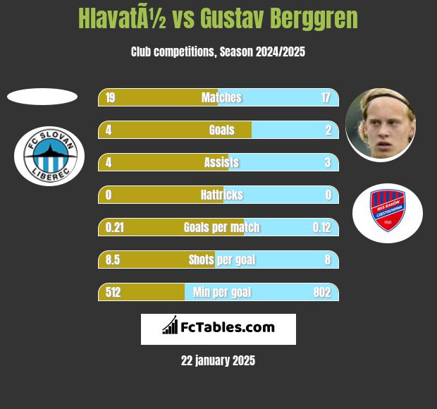 HlavatÃ½ vs Gustav Berggren h2h player stats