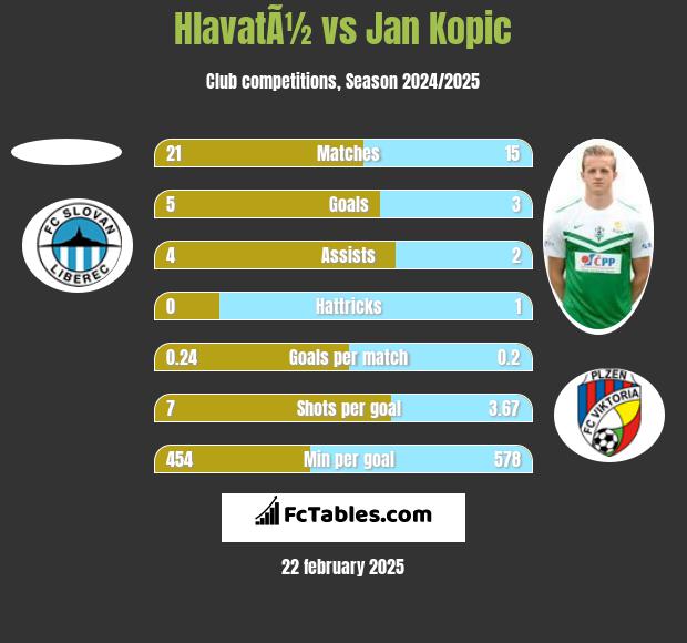 HlavatÃ½ vs Jan Kopic h2h player stats