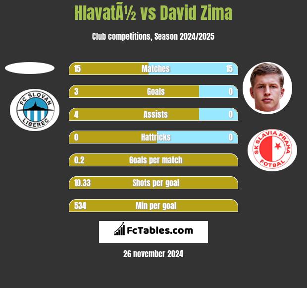 HlavatÃ½ vs David Zima h2h player stats