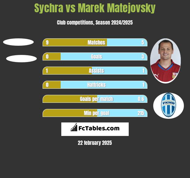 Sychra vs Marek Matejovsky h2h player stats