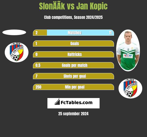 SlonÄÃ­k vs Jan Kopic h2h player stats