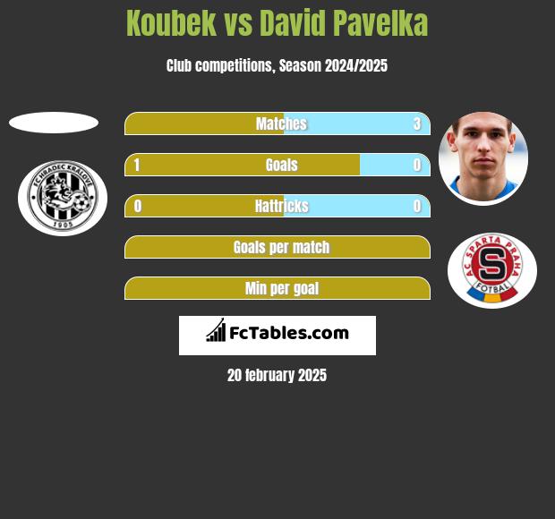 Koubek vs David Pavelka h2h player stats