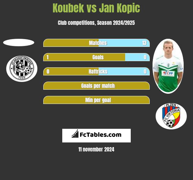 Koubek vs Jan Kopic h2h player stats