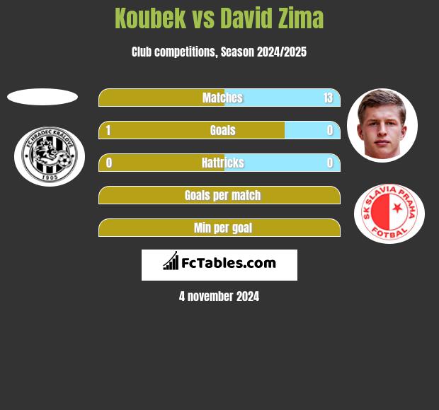 Koubek vs David Zima h2h player stats