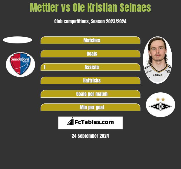 Mettler vs Ole Kristian Selnaes h2h player stats