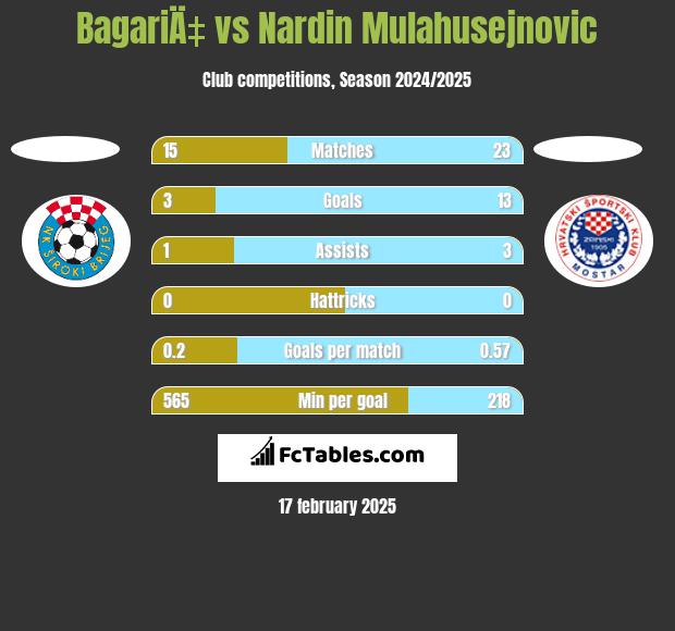 BagariÄ‡ vs Nardin Mulahusejnovic h2h player stats