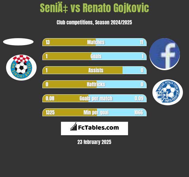 SeniÄ‡ vs Renato Gojkovic h2h player stats