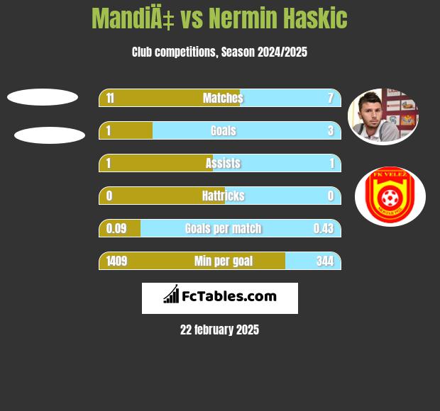 MandiÄ‡ vs Nermin Haskic h2h player stats