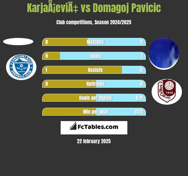 KarjaÅ¡eviÄ‡ vs Domagoj Pavicić h2h player stats