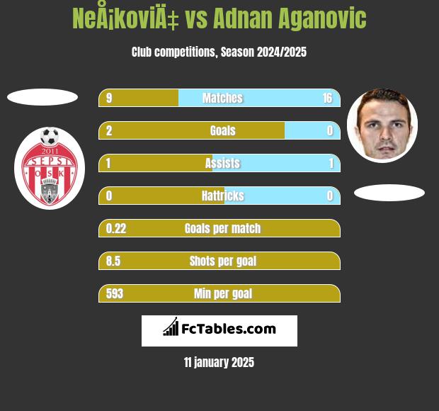 NeÅ¡koviÄ‡ vs Adnan Aganovic h2h player stats