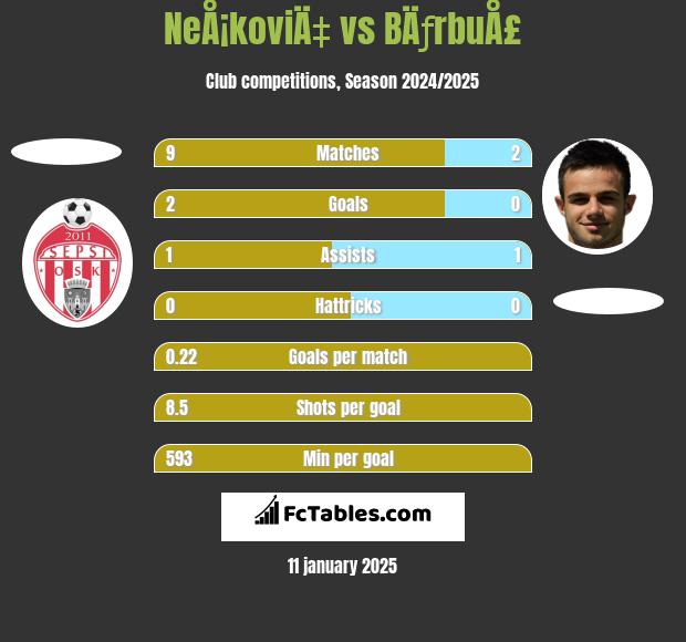 NeÅ¡koviÄ‡ vs BÄƒrbuÅ£ h2h player stats