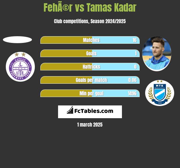 FehÃ©r vs Tamas Kadar h2h player stats