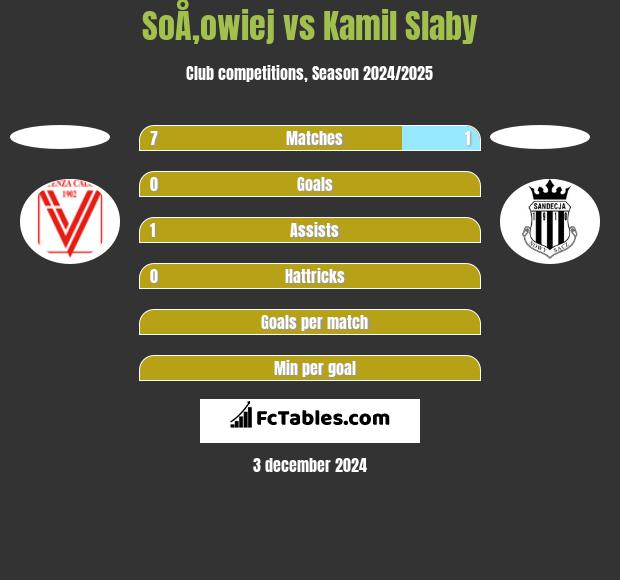 SoÅ‚owiej vs Kamil Słaby h2h player stats