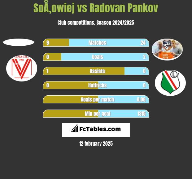 SoÅ‚owiej vs Radovan Pankov h2h player stats