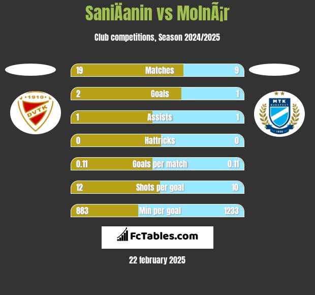 SaniÄanin vs MolnÃ¡r h2h player stats