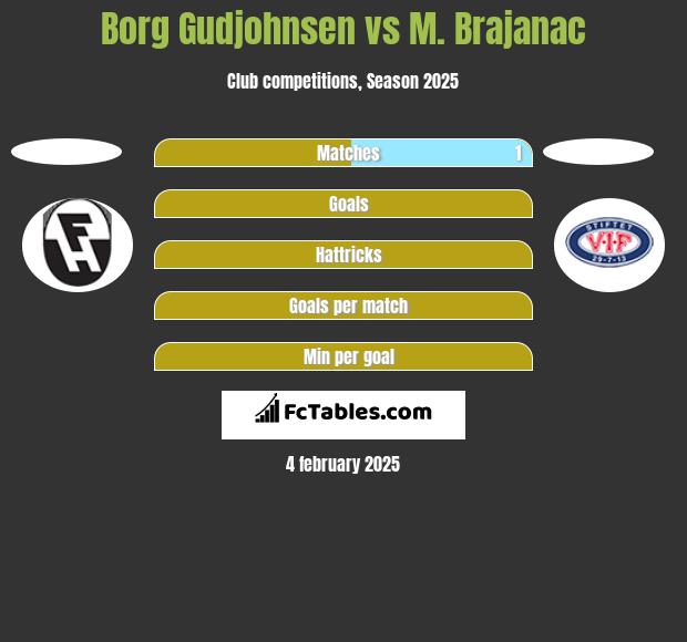 Borg Gudjohnsen vs M. Brajanac h2h player stats