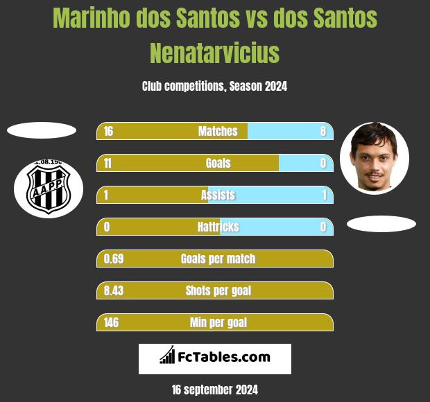 Marinho dos Santos vs dos Santos Nenatarvicius h2h player stats