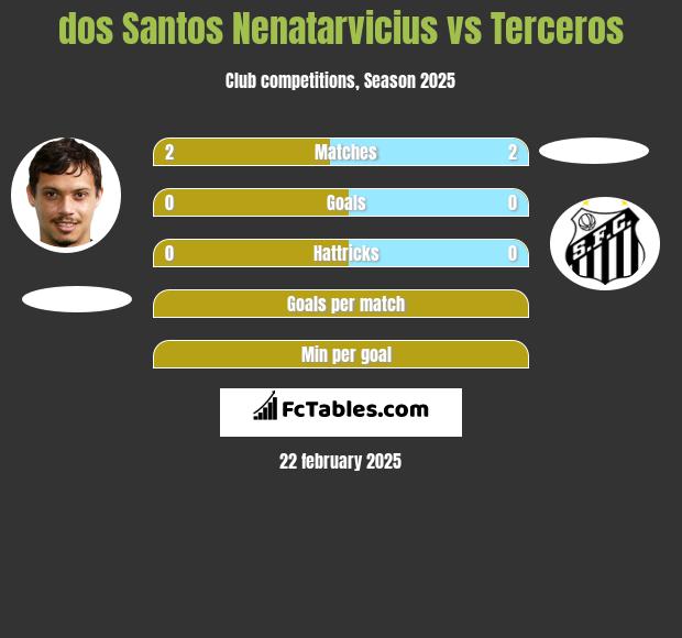 dos Santos Nenatarvicius vs Terceros h2h player stats