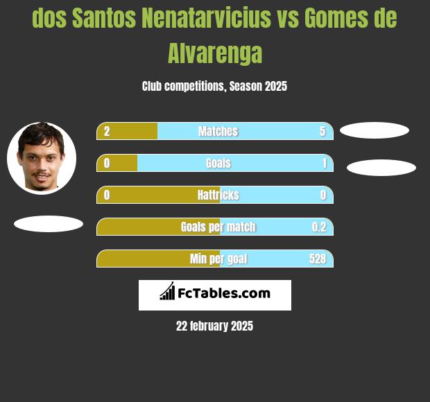 dos Santos Nenatarvicius vs Gomes de Alvarenga h2h player stats