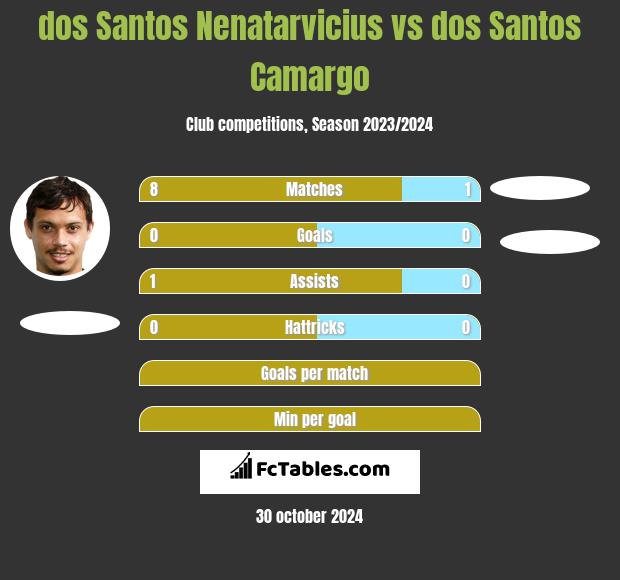 dos Santos Nenatarvicius vs dos Santos Camargo h2h player stats