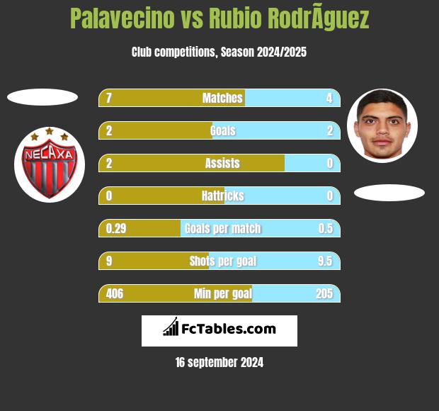 Palavecino vs Rubio RodrÃ­guez h2h player stats