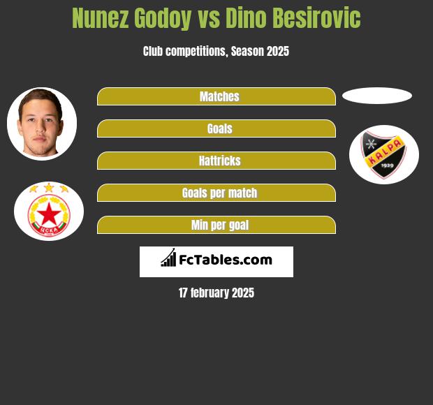 Nunez Godoy vs Dino Besirovic h2h player stats