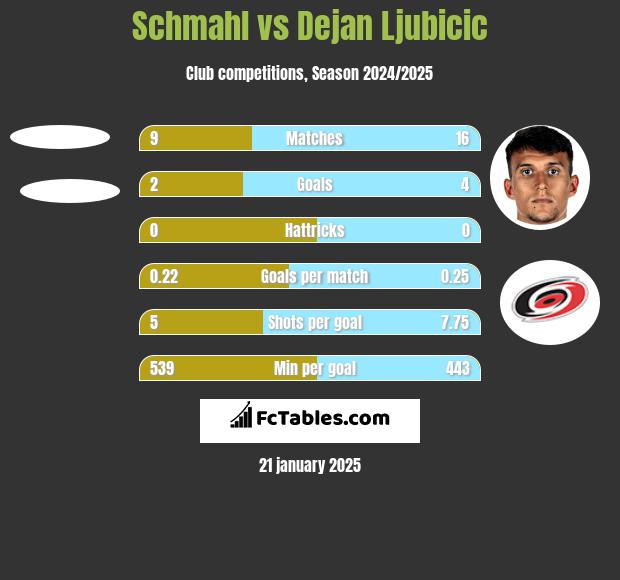 Schmahl vs Dejan Ljubicic h2h player stats