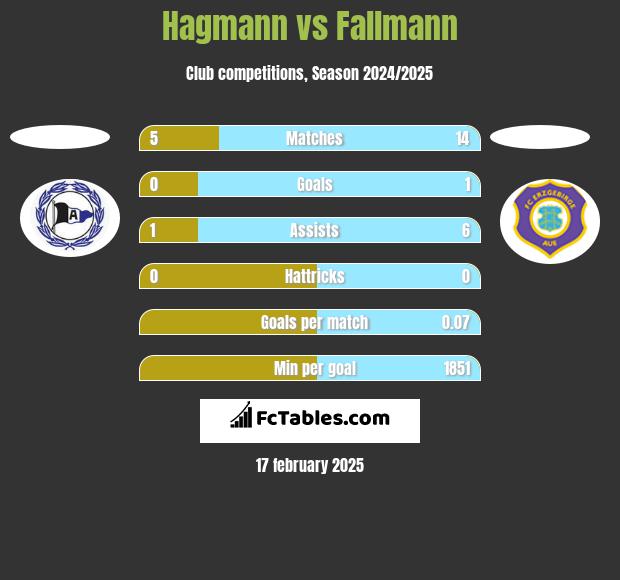 Hagmann vs Fallmann h2h player stats