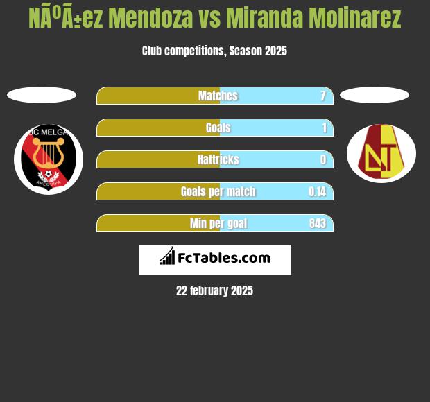 NÃºÃ±ez Mendoza vs Miranda Molinarez h2h player stats