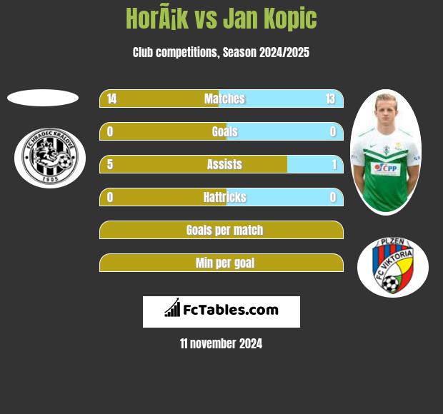 HorÃ¡k vs Jan Kopic h2h player stats