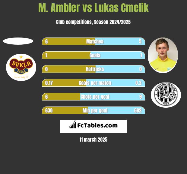 M. Ambler vs Lukas Cmelik h2h player stats