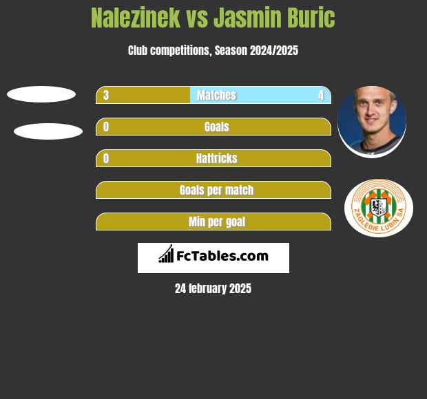 Nalezinek vs Jasmin Burić h2h player stats